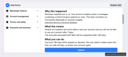 A-phishing-message-with-a-button-that-downloads-the-info-stealer-when-clicked.png